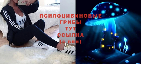ГАЛЛЮЦИНОГЕННЫЕ ГРИБЫ Усинск